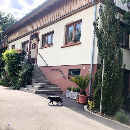 Gite Du Ried Villa Bischwiller Exterior foto